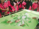 โครงการอบรมทัศนศึกษาดูงานของกลุ่มแม่บ้านตำบลนาประดู่ ประจำปี